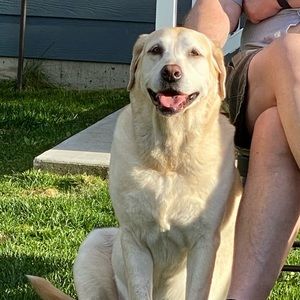 Meet your Posher, Jodi